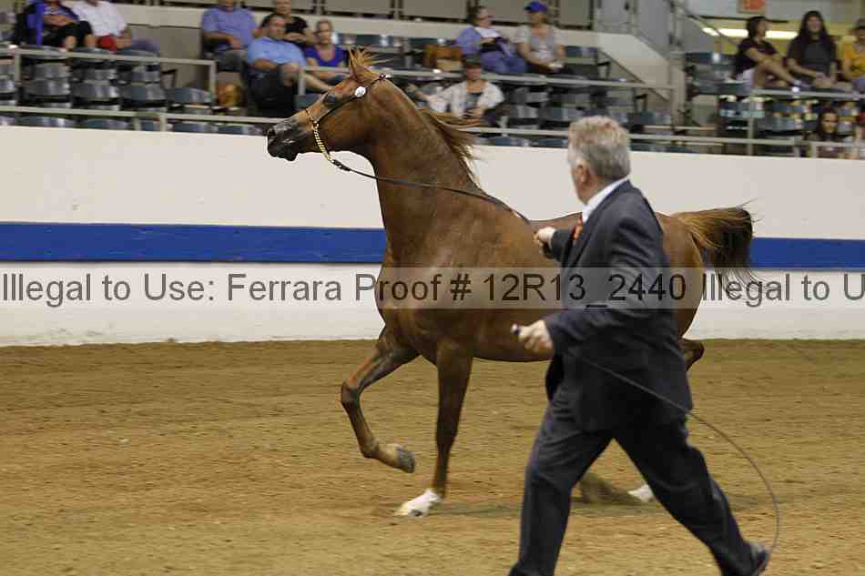 Proof 12r13_2440