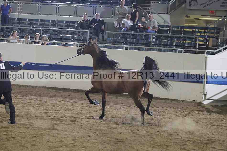 Proof 12r13_2441