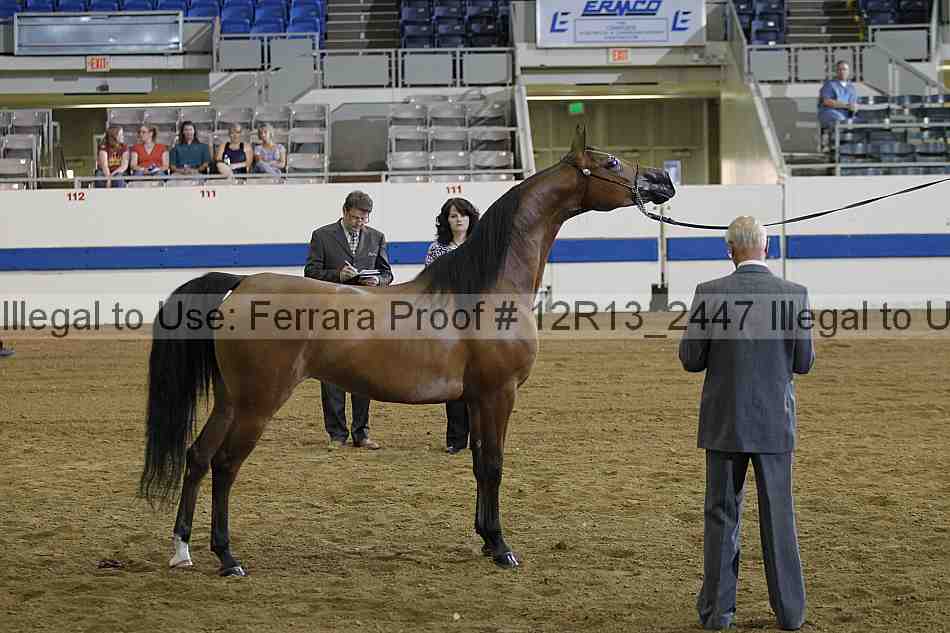 Proof 12r13_2447