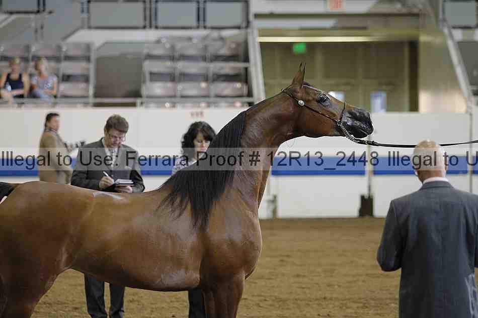 Proof 12r13_2448