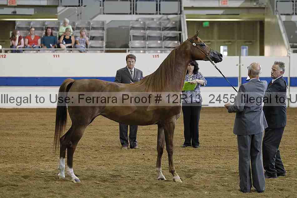 Proof 12r13_2455