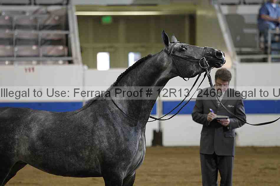 Proof 12r13_2460
