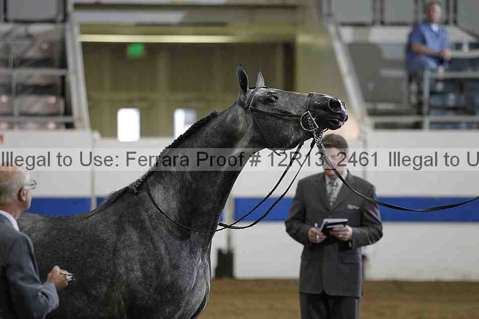 Proof 12r13_2461
