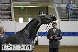 12r13_2461 proof