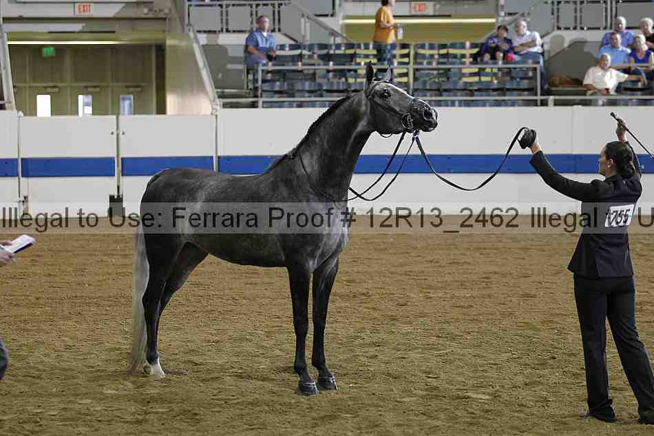 Proof 12r13_2462