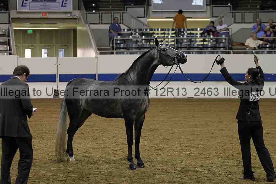 Proof 12r13_2463