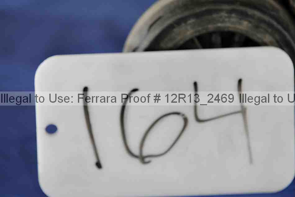 Proof 12r13_2469