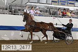 12r13_2477 proof
