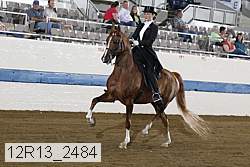 12r13_2484 proof