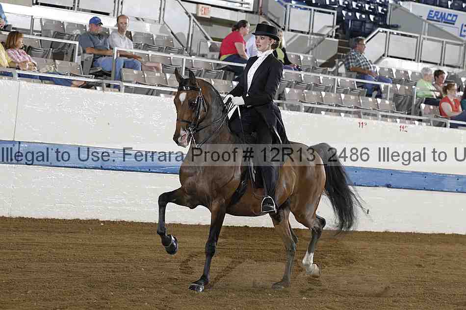 Proof 12r13_2486
