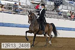 12r13_2486 proof