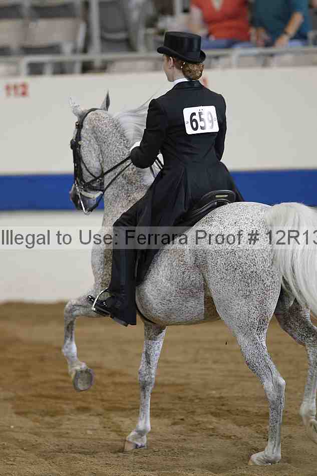 Proof 12r13_2487