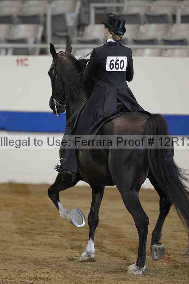 Proof 12r13_2488