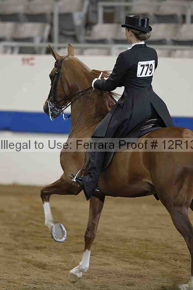 Proof 12r13_2490