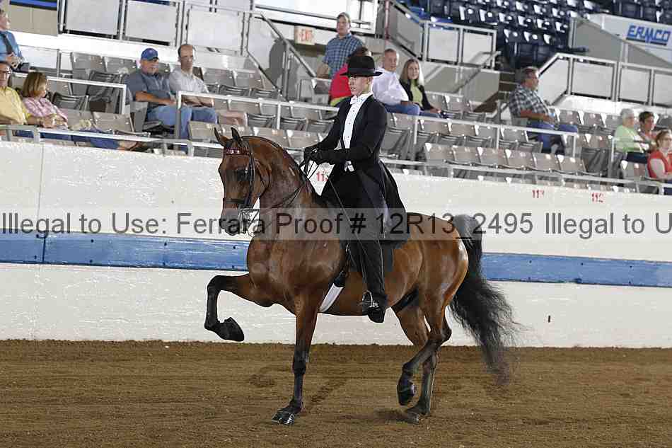 Proof 12r13_2495