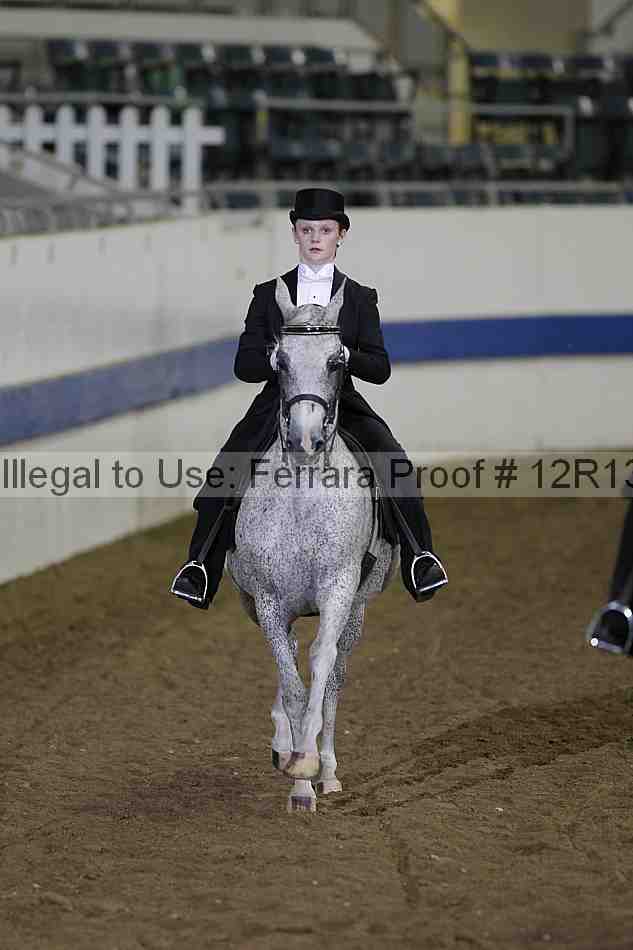 Proof 12r13_2496