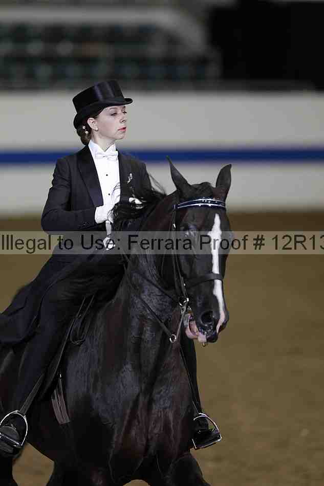 Proof 12r13_2498