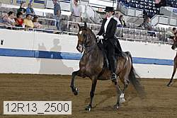12r13_2500 proof