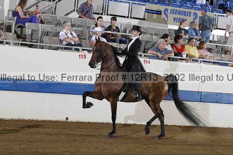 Proof 12r13_2502
