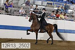 12r13_2502 proof
