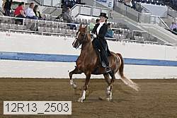 12r13_2503 proof