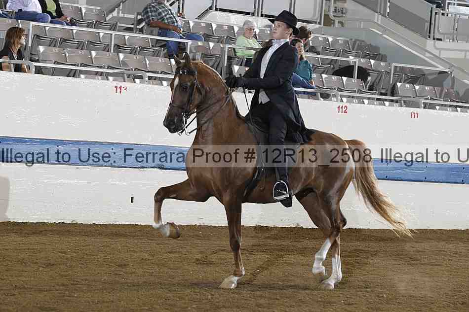 Proof 12r13_2508