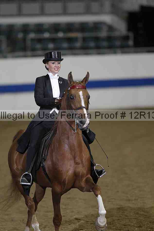 Proof 12r13_2509