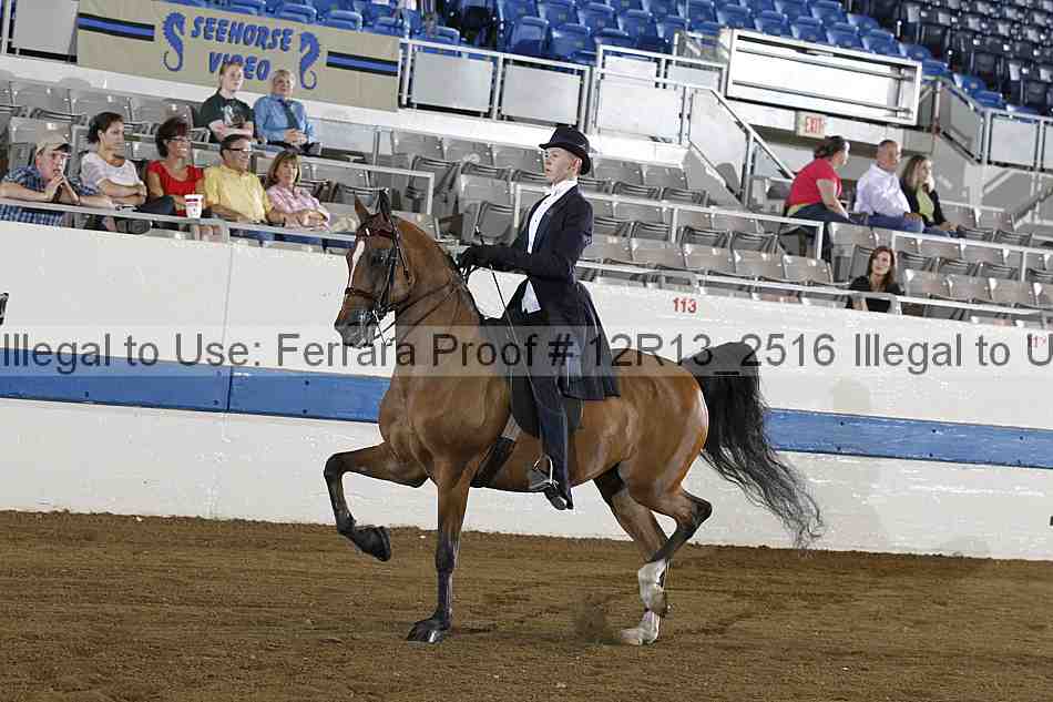 Proof 12r13_2516