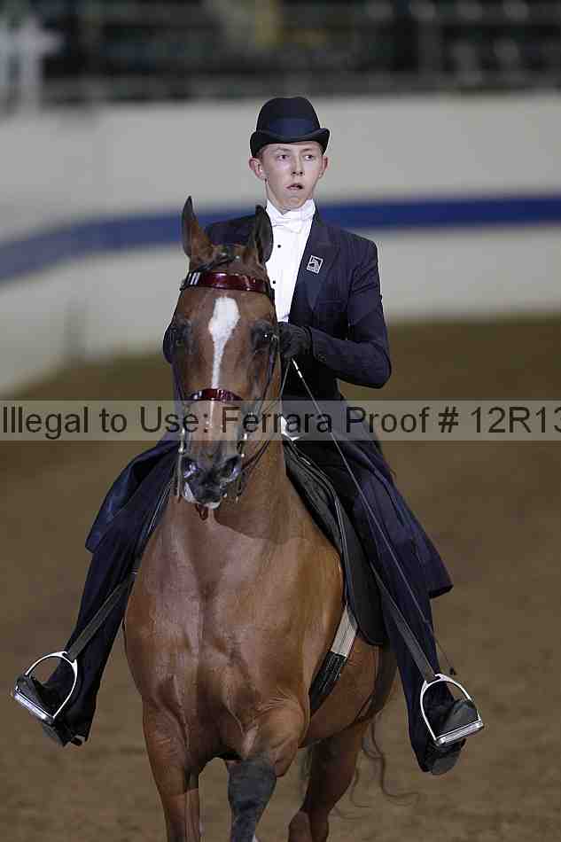 Proof 12r13_2522
