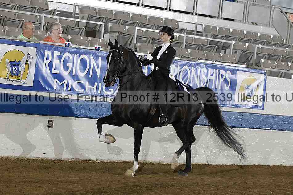 Proof 12r13_2539