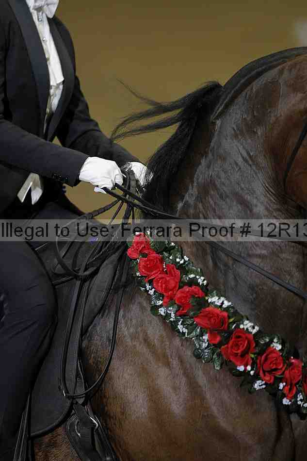 Proof 12r13_2544