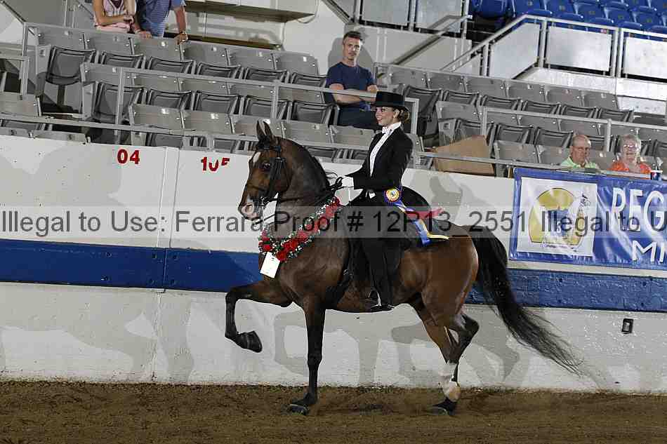 Proof 12r13_2551