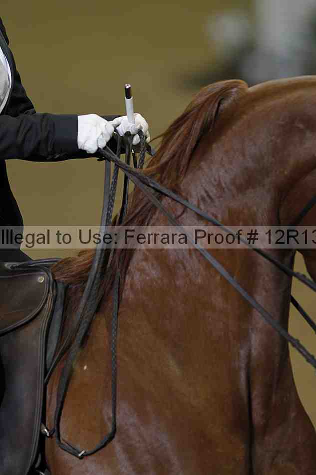 Proof 12r13_2552