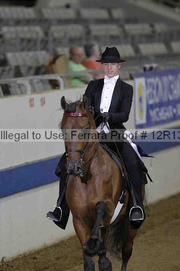 Proof 12r13_2554