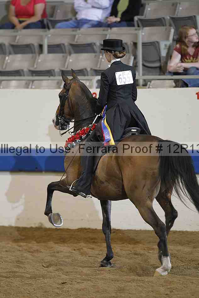Proof 12r13_2563