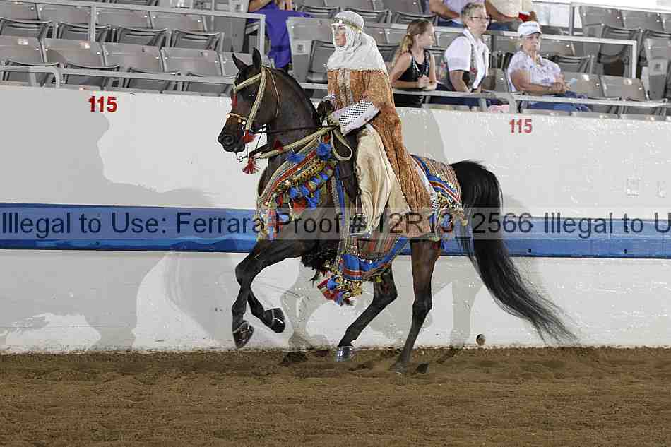 Proof 12r13_2566