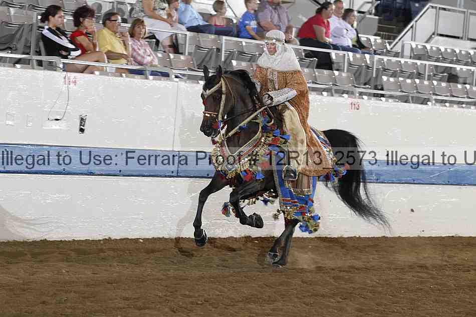 Proof 12r13_2573
