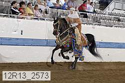 12r13_2573 proof