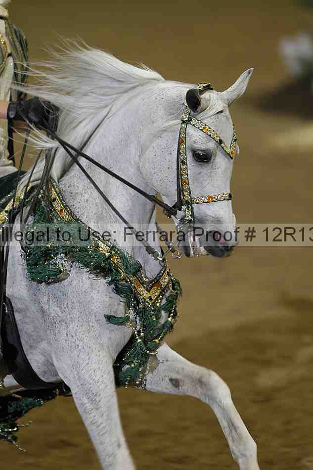 Proof 12r13_2577