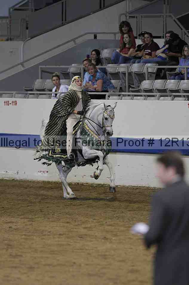 Proof 12r13_2583