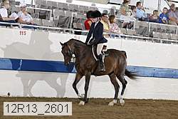 12r13_2601 proof