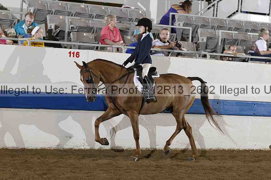 Proof 12r13_2602