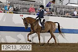 12r13_2602 proof