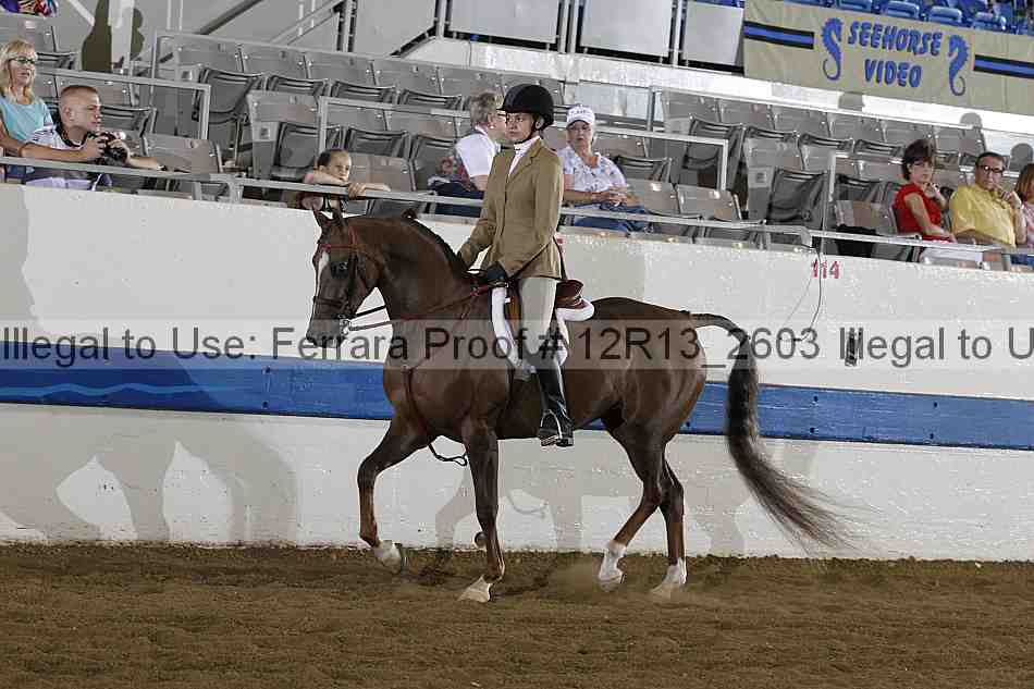 Proof 12r13_2603