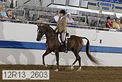 12r13_2603 proof