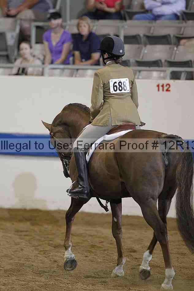 Proof 12r13_2608