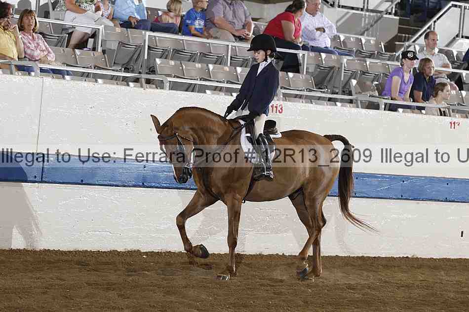 Proof 12r13_2609