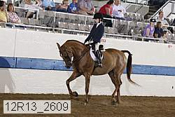 12r13_2609 proof