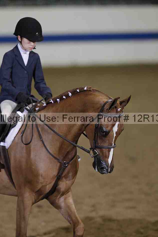 Proof 12r13_2617