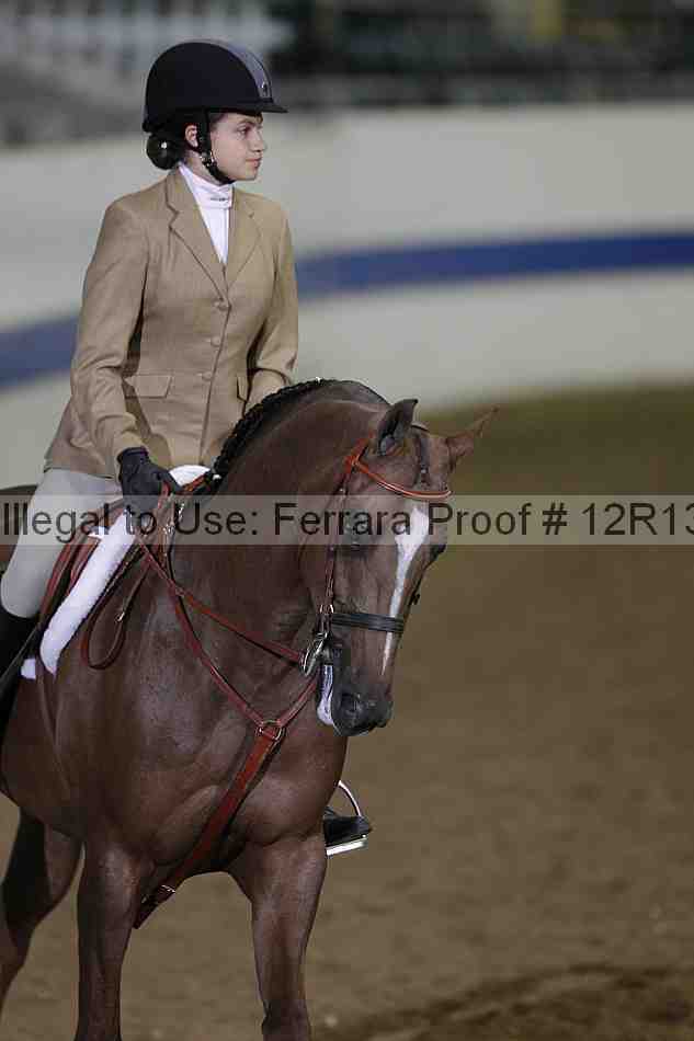 Proof 12r13_2619